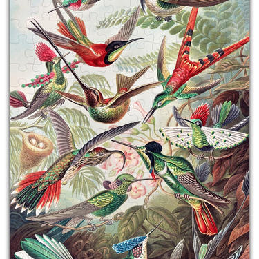Haeckels Hummingbirds Puzzle #6730 - Wooden Jigsaw Puzzle 