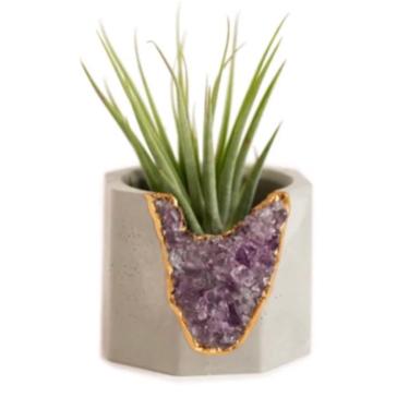 Air Plant Holder | Cement Candle Holder | Air Plant Planter | Succulent Planter 