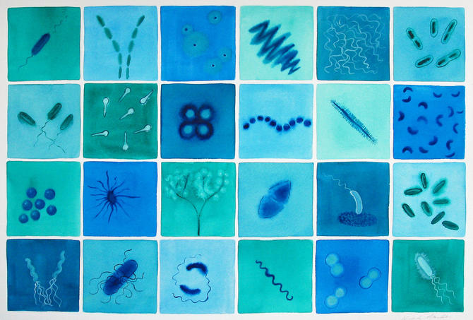 Microbial Fantasy - original watercolor painting of bacteria ...