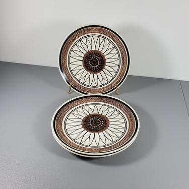 One Ironstone Casa Del Sol Dinner Plate 