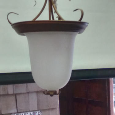 Decorative copper looking with glass dome hanging light 24 x 13.5