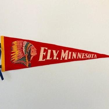 Minnesota Vikings Heritage History Banner Pennant