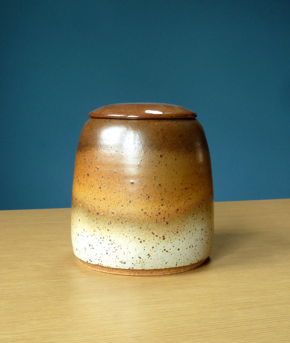 Studio Pottery Lidded Jar Domed Vessel Signed Hayes Mid Fly Times