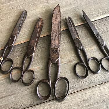 antique vintage farm primitive tool, old sheep shears for hand