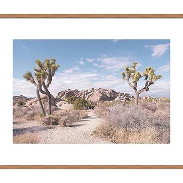 Desert Print, Joshua Tree National Park Photo, Travel Photography, California Art, Nature Photography, Desert Wall Art, Landscape Photo Art 