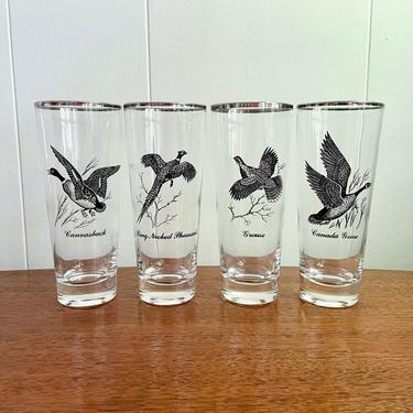 Set of 4 Vintage Mid Century Game Bird Highball Beer Pilsner Glasses; Wild Birds Geese Pheasant Silver Rim Glasses,MCM Barware 
