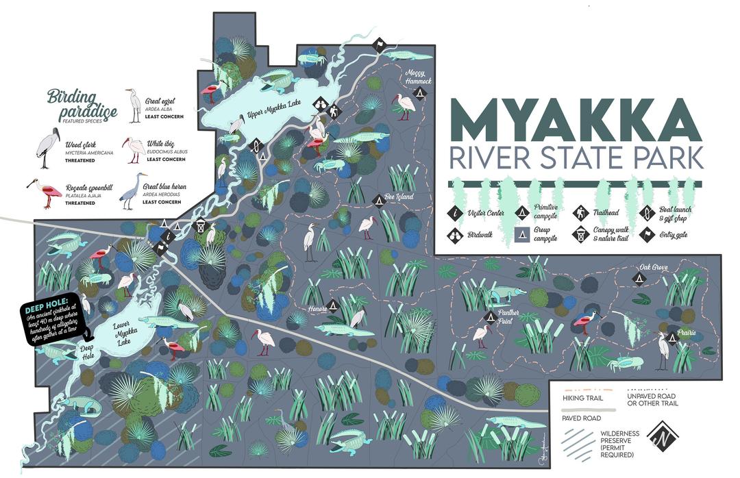 Myakka River State Park Florida decorative map print | Wild Places ...