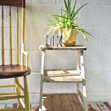Handmade Step-ladder Shelf