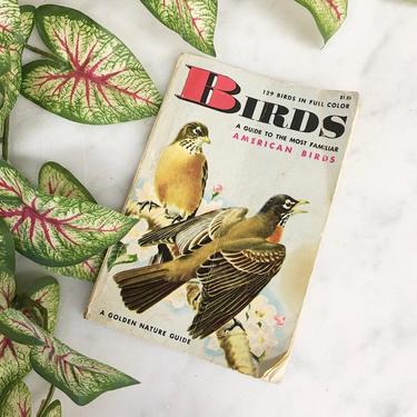 Vintage Birds: A guide to the Most Familiar American Birds Book Retro 1940s A Golden Nature Guide + Full Color + Field Book + Illustrations 