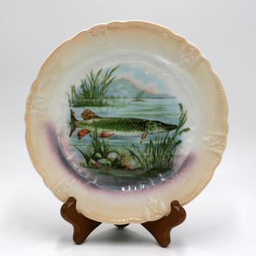 vintage porcelain fish plate made in germany 
