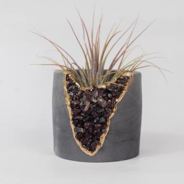 Succulent Planter | Cactus Planter| Air Plant Holder 