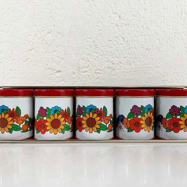 Vintage Spice Rack Brazil Red White Floral Set Counter Wall Mount Jars MCM Spices Mid Century Retro Kitchen 1970s 70s Flower Power 