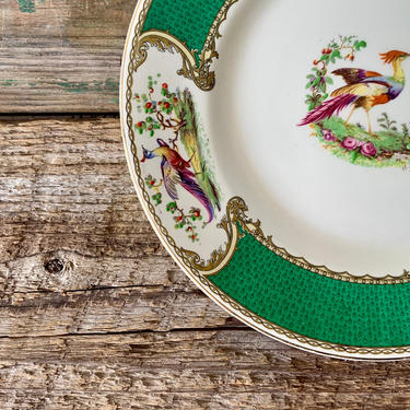 Vintage Chelsea Myott Bird Green Plate | Bird Dish | Dinner Plate | Antique Plate | Staffordshire China 