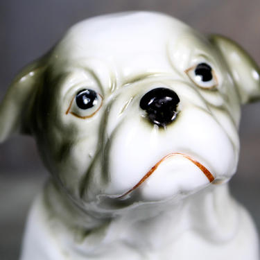 蔵*＊様 Vintage Chalkware Bulldog Lot Detail - LARGE VINTAGE CHALKWARE BULLDOG PIGGY BANK.