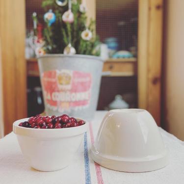 Beautiful set of 2 vintage English ironstone mixing bowls-EMB2 