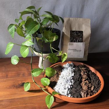 All Purpose Potting Soil | 2.5lb bag