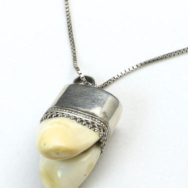 Vintage Double Elk Tooth Pendant Necklace Intricate Sterling Silver Box ...