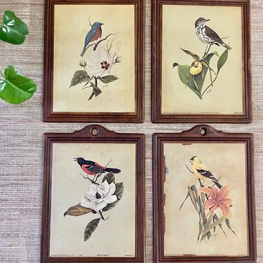Vintage Bird Art - Arthur A. Kaplan &amp; Co. Lithograph on Wood - Oriole - Goldfinch - Blue Bird - Wood Thrush - Set of Four -Wood Plaque Frame 