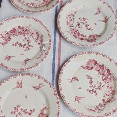 Beautiful set of 5 antique French ironstone plates with birds-SP5 
