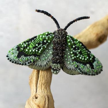Embroidered Woolly Green Moth Pin