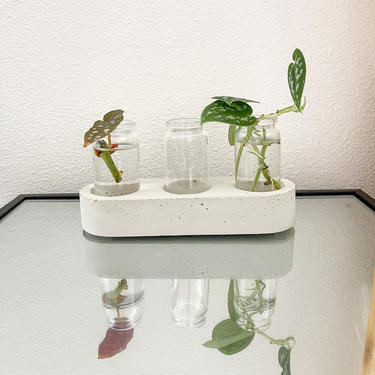 Concrete Plant Propagation Station with Glass Vials / minimalist decor / modern scandi home decor 