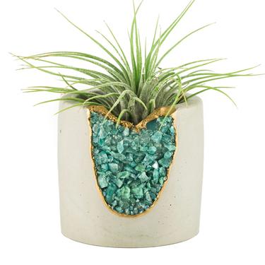 Air Plant Holder | Cement Candle Holder | Air Plant Planter | Succulent Planter 