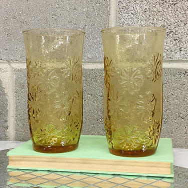 Vintage Libbey Drinking Glasses Retro 1970s Bohemian + Country Garden or Daisy + XL Size + Water Glass + Kitchen and Home Decor 