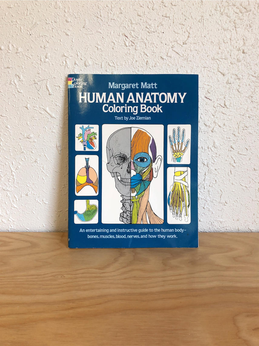 Vintage 1982 Human Anatomy Coloring Book | SonjloVintage | Portland, OR