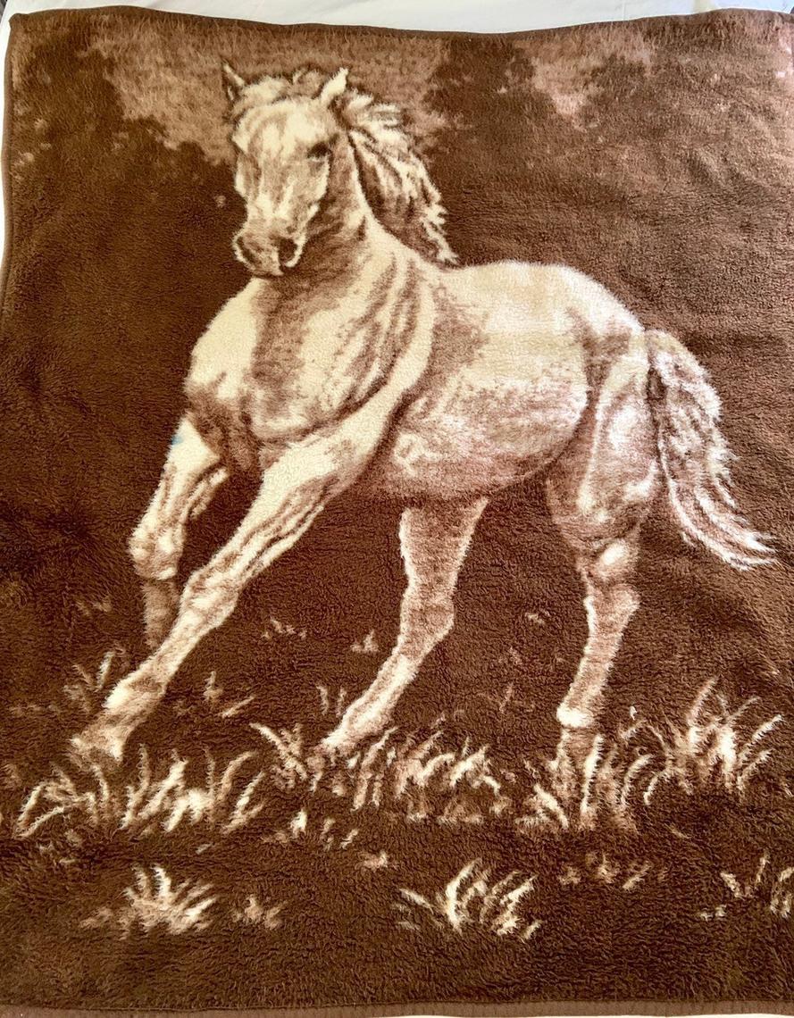 Biederlack 2025 blanket horse