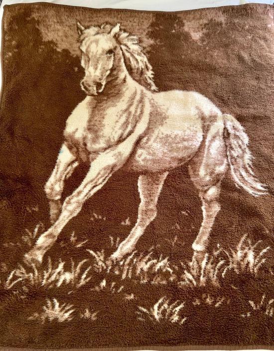 Vintage Biederlack cheapest Horse Blanket Reversible Fleece Mother Foal Farmcore Quilt