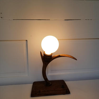 Bone Light 