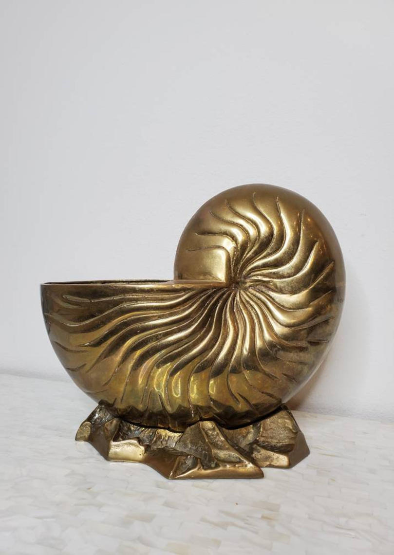 Brass Nautilus Shell