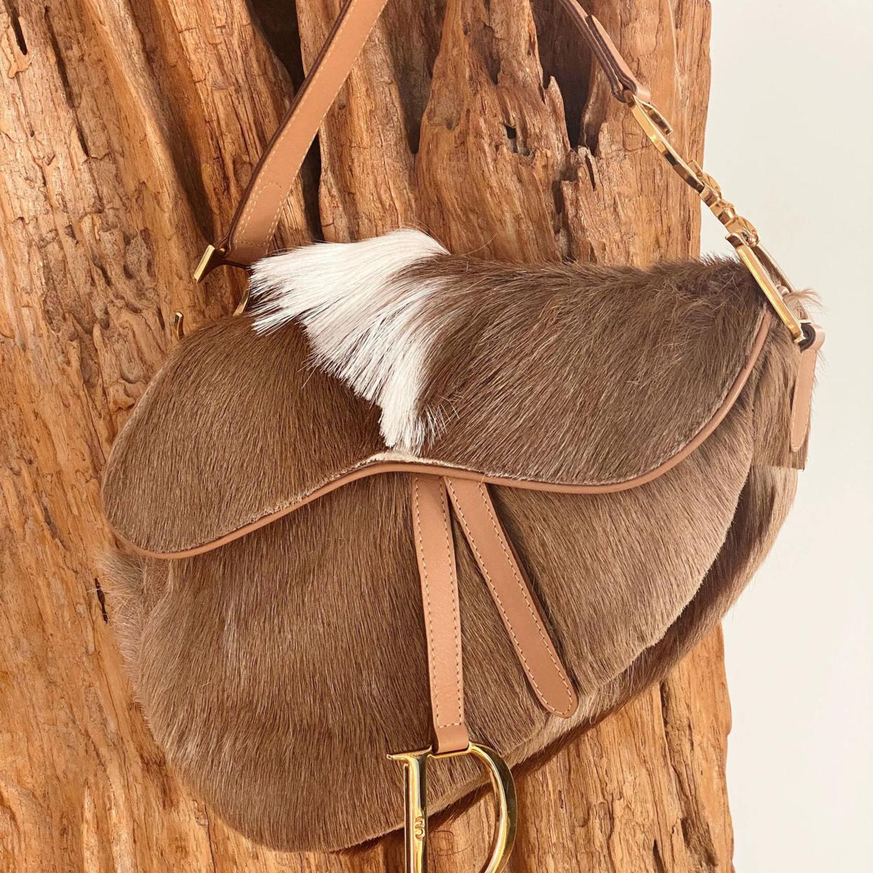 ?bucket=cdn.attic.city&key=