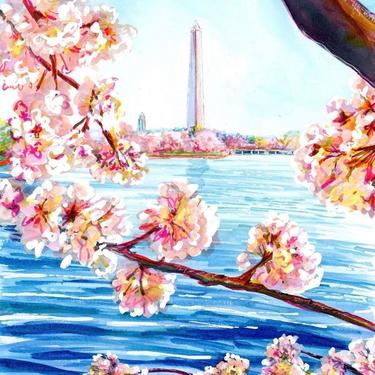 Washington Monument and Cherry Blossoms by Cris Clapp Logan 