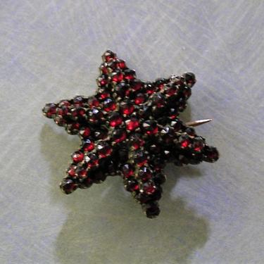 Antique Bohemian Garnet Star Brooch Pin, Antique Garnet Brooch Pin, Old Victorian Garnet Pin (#3928) 