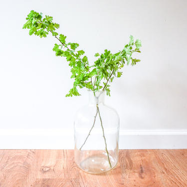 Large Vintage Clear Glass Pyrex Chemistry Bottle with Raised Lettering and Glass Penny Stopper 