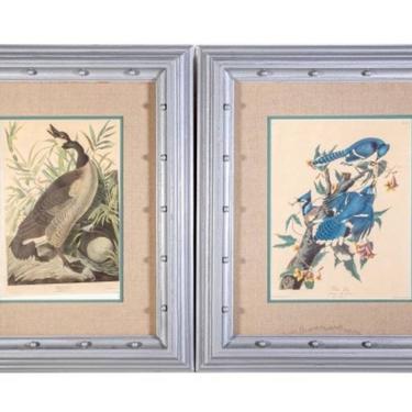 Antique Pair Of Large Canadian Goose and Blue Jay Engravings 