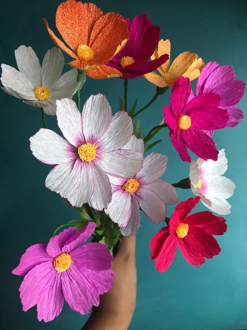 Crepe Paper Flowers: Cosmos, Peony, and Iris - Smithsonian Associates