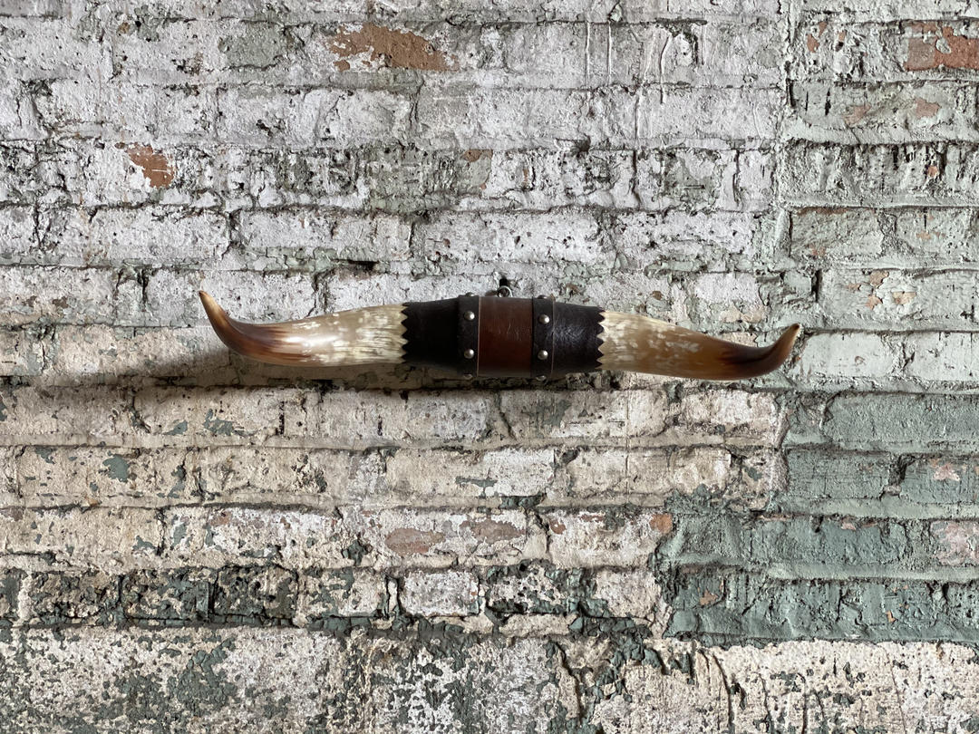 Vintage Bull Horn Wall Mount Rustic Cabin Decor | North Grove Antiques