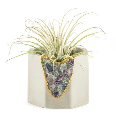 Air Plant Holder | Cement Candle Holder | Air Plant Planter | Succulent Planter 