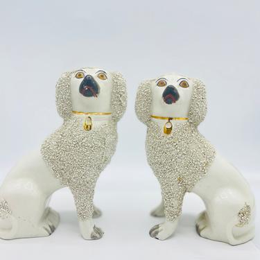 Antique Pair of English Staffordshire Poodle Spaniel White Dogs-Curl Confetti textured hair.  7&quot; Nice Condition 