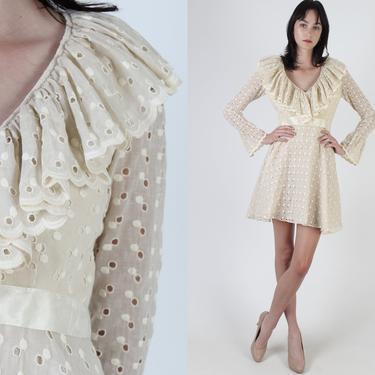 Vintage 70s Embroidered Polka Dot Dress Deep V Scallop Ruffle Trumpet Sleeve Mini Dress 