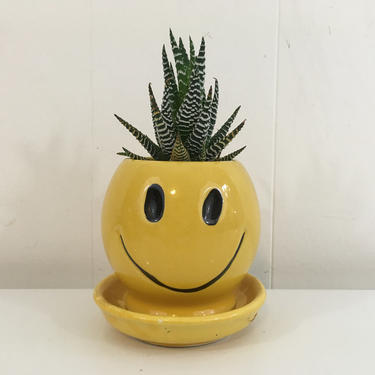  Happy Face Planter, Smiling Plant Pot, Kawaii Cute
