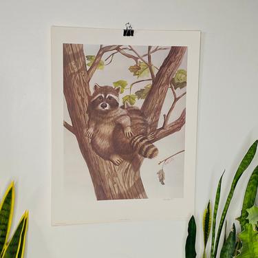 MCM 1979 Raccoons By Robert White Art Image Inc Lithograph No 707, Mid Century Lithograph, Rippel Litho, Safari Art, Mid Century Painting 