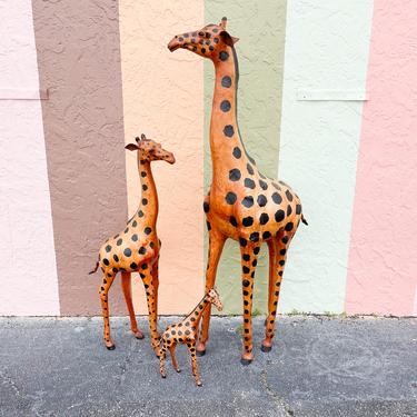 Sweet Family of Three Giraffes