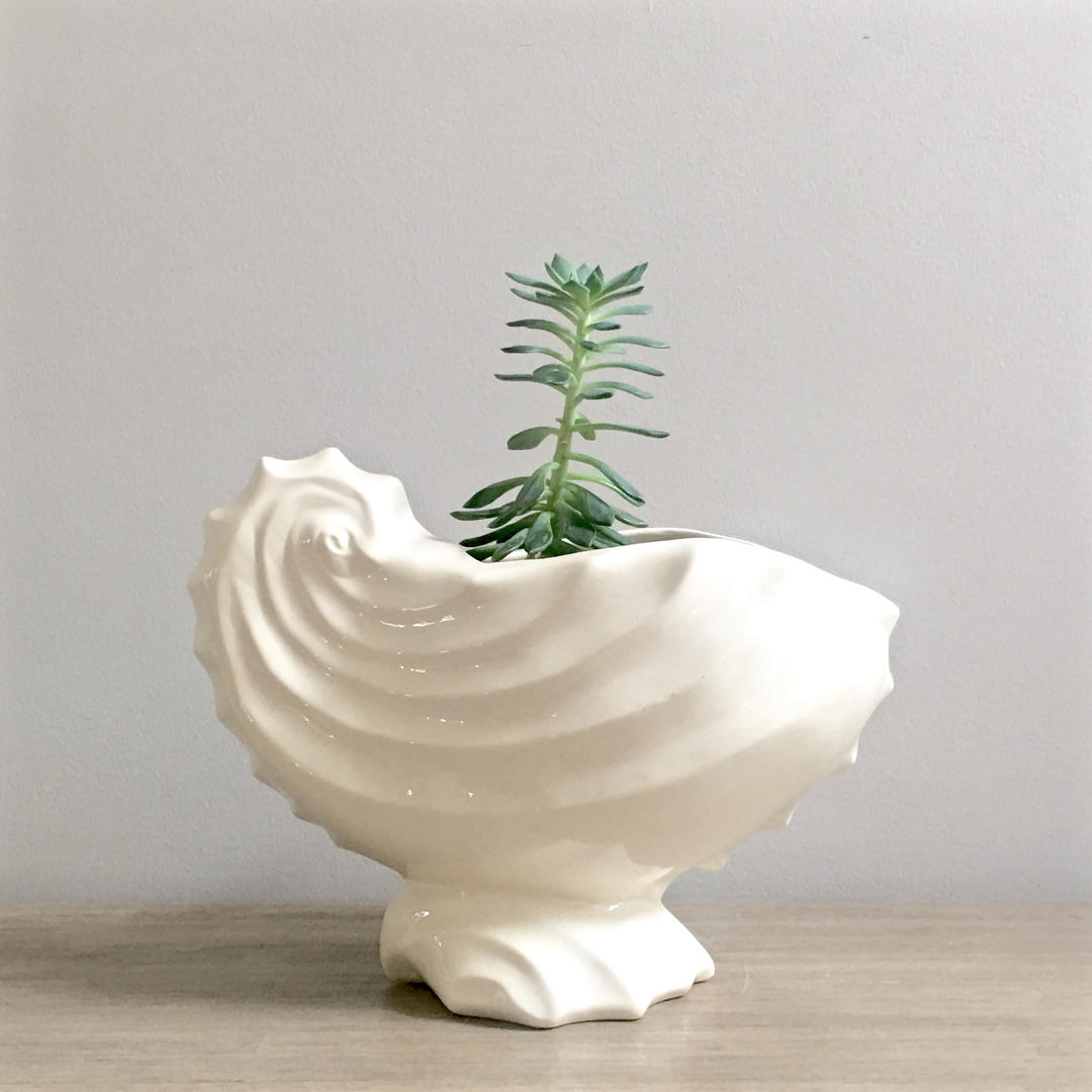 Vintage Ceramic Shell Planter Large White Nautilus Shell Plant Pot