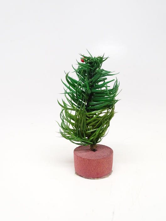 Doll house austin tx