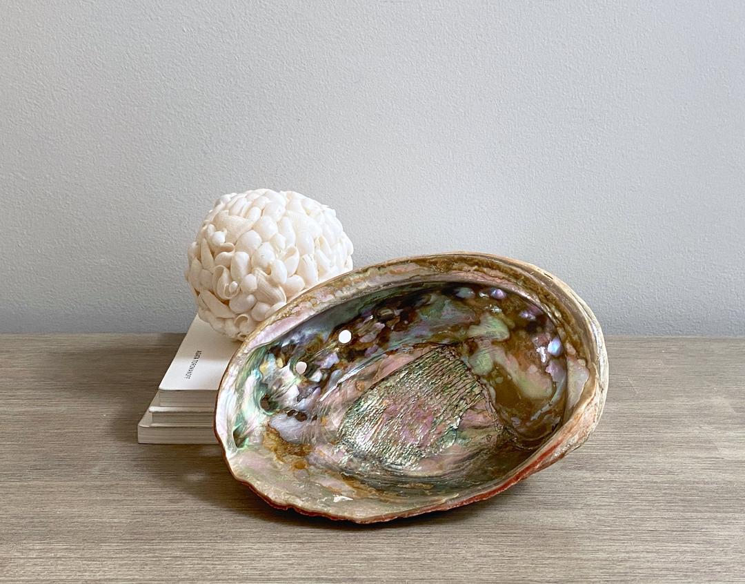 Large Vintage Abalone Shell Dish Bowl Coastal Tropical Ocean Beach