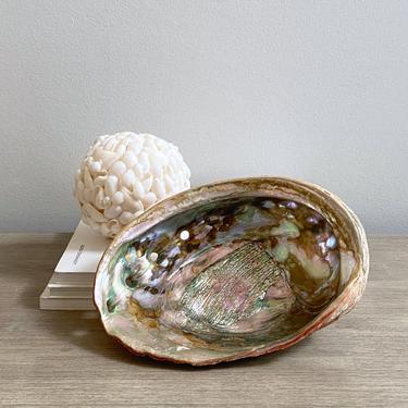 Large Vintage Abalone Shell Dish Bowl Coastal Tropical Ocean Beach House Decor 