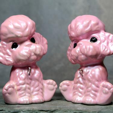 FOR POODLE LOVERS! - Adorable Pink Poodles from the 1960s - Mid-Century Ceramic Poodles in Pearlized Pink! | Free Shipping 